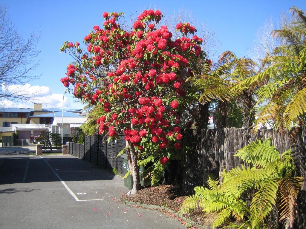 Victoria Lodge Rotorua Extérieur photo